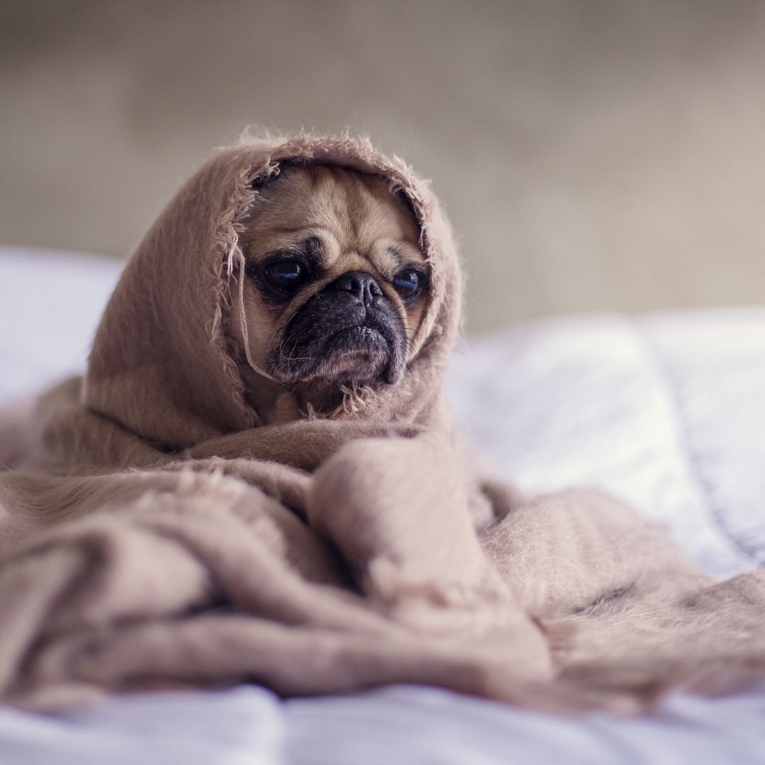 The Importance of Maintaining Self-Care During Stay-at-Home Orders