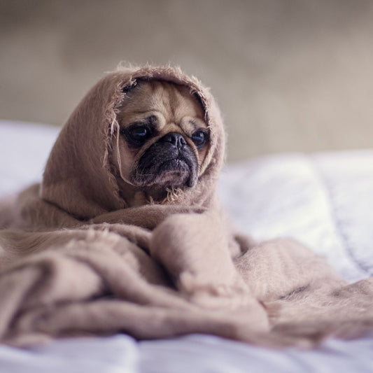 The Importance of Maintaining Self-Care During Stay-at-Home Orders